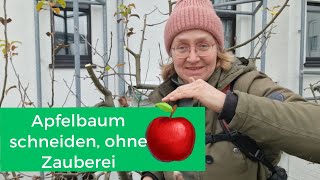 Apfelbaum schneiden wann ist der richige Zeitpunkt [upl. by Cinom]