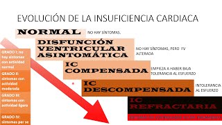 Cardiología Insuficiencia Cardiaca 2 Diagnóstico [upl. by Noitsuj]