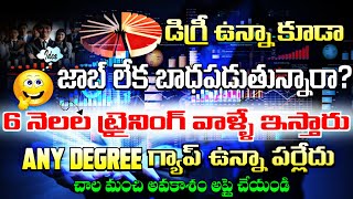 6 నెలల ట్రైనింగ్ వాల్లే ఇస్తారు డిగ్రీ ఉంటే చాలు  How to Get Job Easily in 2024 Telugu [upl. by Dolloff945]