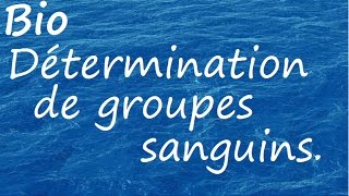 Détermination de groupes sanguins [upl. by Clementi]