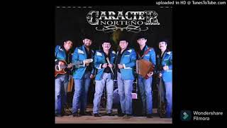 Caracter Norteño Vs Obzesion  Mix Cumbias [upl. by Lorry1]