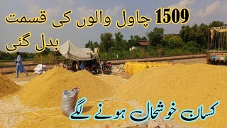 Today Galla Mandi Rate  Rice Price Today  Today Gandam Rate  Wheat price Today  Farmers life [upl. by Ahsaercal513]