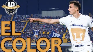 PUMAS 41 SAPRISSA  GOLEÓ PUMAS Y VOLVIERON LOS TRAPOS A CU [upl. by Leodora617]