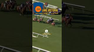 🔵🟠LAKE VICTORIA Is too good in The Breeders Cup [upl. by Derrej]