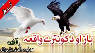 Baz Ao Kontara New Pashto Naat  Raghla Kontara Da Asmana Nabi دہ باز او د کو نترے واقعہ خئستہ نظم [upl. by Selby]