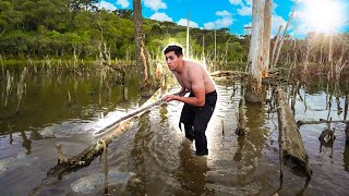 LARGADOS E PERDIDOS  TENTANDO CONSEGUIR ALIMENTO NO MANGUEZAL [upl. by Khalid]