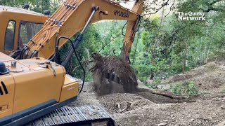 Excavator at Work Building a New Road on a Steep Mountain  road Construction In Forest Area [upl. by Aicelav]