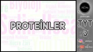 5 Proteinler [upl. by Arsuy]