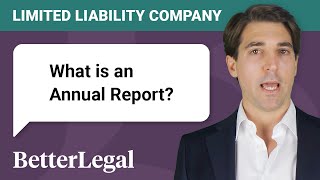 What is Annual Report for a Limited Liability Company [upl. by Dhruv]