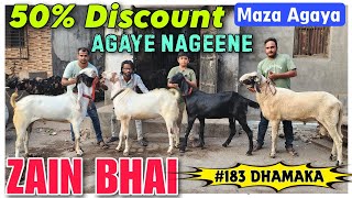 50 Discount Offer Big Andul Goat 🐐 At ZAIN BHAI  Sab Se Sasti Bakra Mandi Bhiwandi Rizwankranti [upl. by Anod841]