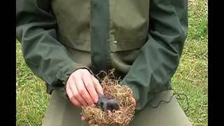 Comment se débarrasser facilement des taupes dans votre jardin [upl. by Andromeda]