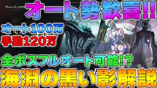 【リバース1999】Ver19 たてがみ手配書「海淵の黒い影」攻略 ～オート100万手動120万編成・実演解説～【reverse】【重返未来】 [upl. by Gregg610]