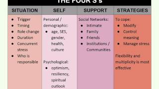 Schlossberg Transitions Theory [upl. by Ujawernalo873]