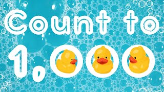 Count within 1000  Skipcount by 100 with Rubber Ducks  Learn Math  FREE WORKSHEET [upl. by Hersh]