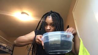 Box braids over my starter locs [upl. by Enneicul]