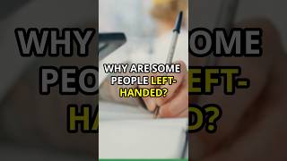 Why are some people lefthanded  ✋ interestingfacts scienceexplained MindCurioen [upl. by Onabru]