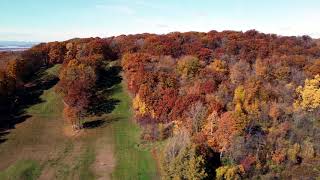 Hardack Recreation Area  Fall Foliage 2024 [upl. by Hefter]