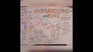 TOUS SAVOIRE SUR LHYPOPHOSPHOREMIE Définition  répartition  role physiologique du phosphore [upl. by Arturo]