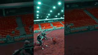 Too easy once again horse tollesonmack cow rodeo [upl. by Hsirehc]