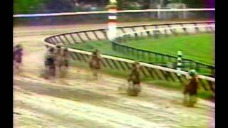 1979 Travers Stakes  General Assembly  CBS Broadcast [upl. by Refotsirc]