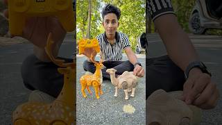 Rc Camel And Remote Control Deer Unboxing🔥🦌 [upl. by Aimek]