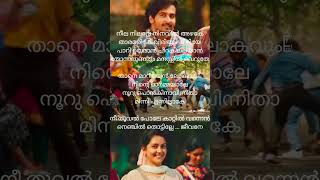 Neele nilave song lyrics [upl. by Bekaj]