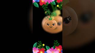 High contrast Baby Sensory Video For Toddlers  Hey Baby Bear Fruit Dance Video [upl. by Annatnas43]