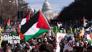 March for Gaza Thousands protest in Washington to call for ceasefire in IsraelHamas conflict [upl. by Jacinthe]