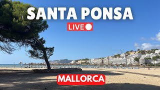 🔴 Live in Santa Ponsa Mallorca Majorca  24 November 2024 [upl. by Swope]