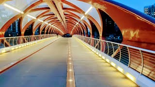 Peace Bridge Calgary Alberta Canada [upl. by Anayek]