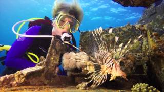 Aqaba Dive Challenge 2016  Jordanien  Petra  Tala Bay  Cedar Pride  Panzer [upl. by Creath]