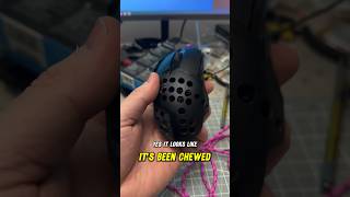 Chewed up logitech G402 logitech logitechmouse logitechg402 [upl. by Ardnos]