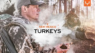 MeatEater  New Mexico Turkey [upl. by Haland]