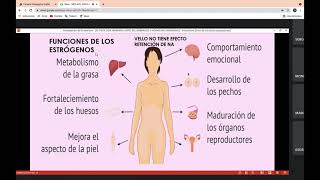 Fisiología y función de las hormonas sexuales femeninas [upl. by Nuahsad843]