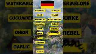 translate these words In German germany languagetranslation facts quiz [upl. by Ariadne]