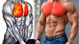 Best 6 Exercises For Your Wider Chest  Chest workout  Chest exercises [upl. by Etnomed]