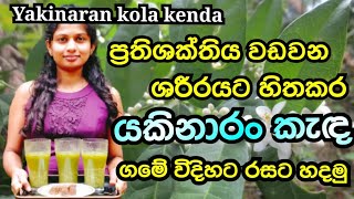 යකිනාරං කොළ කැද රසට හදමු  yakinaran kola keda  Herbal immunity drinks  Atalantia ceylanica [upl. by Alastair]