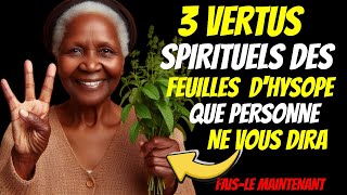 Découvrez les 3 merveilleuses vertus spirituelles DES FEUILLES DHYSOPE à connaître absolument ❗ [upl. by Neerual]