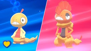 HOW TO Evolve Scraggy into Scrafty in Pokémon Sword and Shield [upl. by Vincelette]