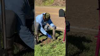 Installing the Mailbox 📪 tinyhomestead outdoors tinyliving diy sustainableliving garden [upl. by Akena]