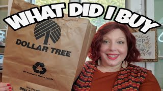 DOLLAR TREE HAUL WHAT DID I BUY TO SAVE MYSELF MONEY FOR THE HOLIDAYS [upl. by Lama]