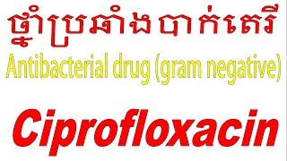 ciprofloxacinថ្នាំប្រឆាំងបាក់តេរី [upl. by Ybloc]