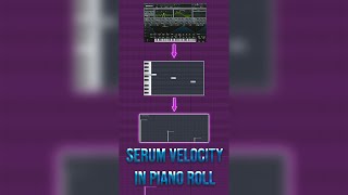 🔥Change Serum VELOCITY In PIANO ROLL🔥 FL Studio Tutorials [upl. by Waldman]