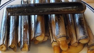 How To Catch And Cook Razor ClamsSeashore To Plate [upl. by Atirehc]