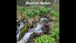 mountain stream colorado [upl. by Gwenn]