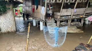 Heavy flood on Daporijo Sigin river 😱😱 flood youtube mountains [upl. by Haidej]