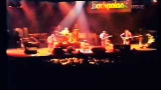 The Undertones  Live at Rockpalast 1981 [upl. by Sunda]