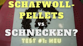 Schafwollpellets gegen Schnecken Test 1 Neu amp Trocken [upl. by Agarhs]