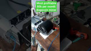 best dogecoin bitcoin miner rin India 80k per month miningbusiness bitcoinminers [upl. by Donica]