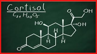 Corticotropina qué es y cómo funciona [upl. by Eimmaj]